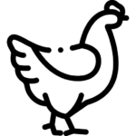 icon đá gà nk88