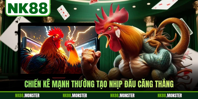 Chiến kê mạnh thường tạo nhịp đấu căng thẳng