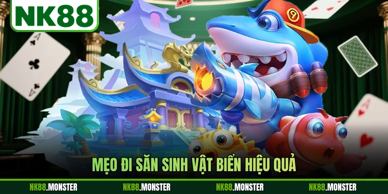 Mẹo đi săn sinh vật biển hiệu quả