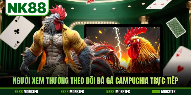 Người xem thường theo dõi đá gà Campuchia trực tiếp