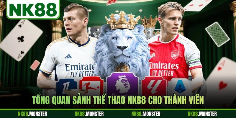 Tổng quan sảnh thể thao NK88 cho thành viên